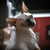 Image-square_50