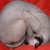 Image-square_50