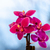 Image-square_50