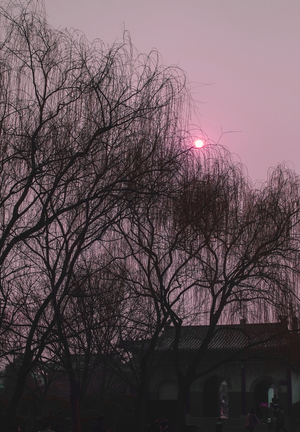 Image-preview_300x200