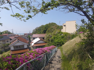 Image-preview_300x200