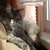 Image-square_50