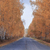 Image-square_50