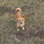 Image-square_50
