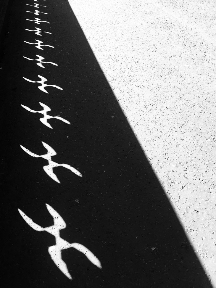 Image-normal