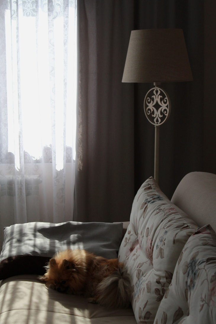 Image-normal