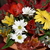 Image-square_50