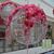 Image-square_50
