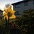 Image-square_50