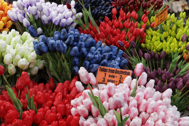 Цветочный рынок Bloemenmarkt