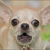 Image-square_50