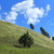 Image-square_50