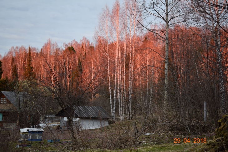 Image-normal