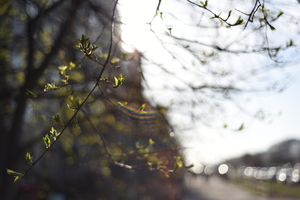 Image-preview_300x200
