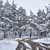 Image-square_50