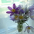 Image-square_50