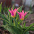 Image-square_50