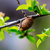 Image-square_50