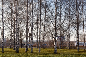 Image-preview_300x200