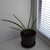 Image-square_50