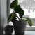 Image-square_50