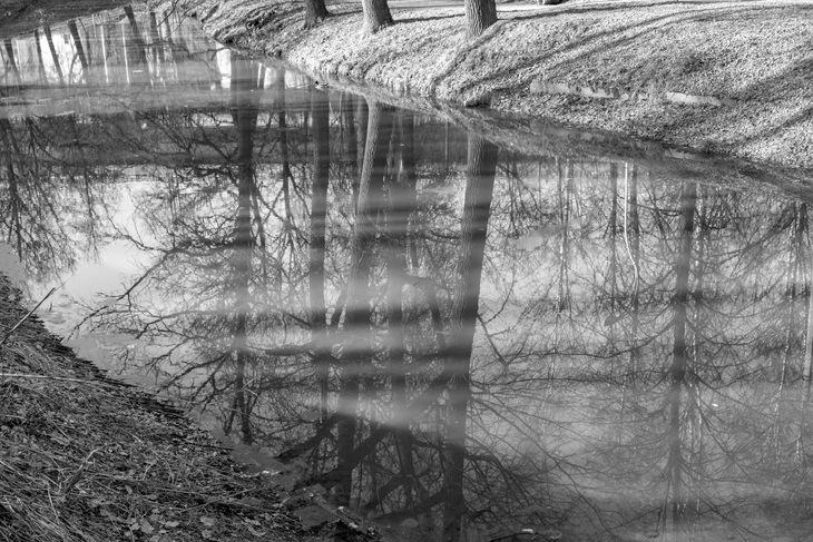 Image-normal