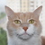 Image-square_50