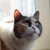 Image-square_50