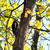 Image-square_50