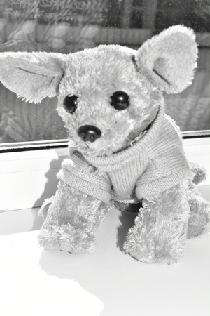 Image-preview_300x200
