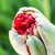 Image-square_50