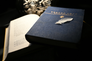 Image-preview_300x200