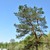 Image-square_50