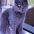 Image-square_50
