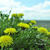 Image-square_50
