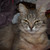 Image-square_50