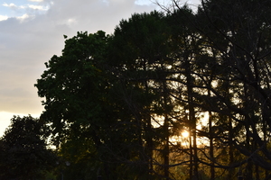 Image-preview_300x200