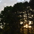 Image-square_50