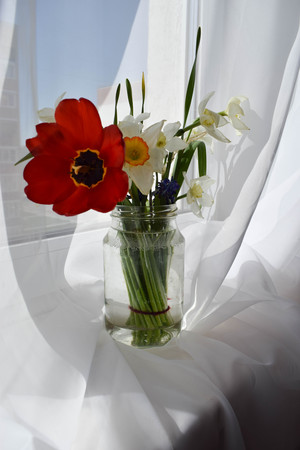 Image-preview_300x200