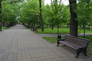 Image-preview_300x200
