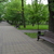 Image-square_50