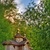 Image-square_50