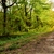 Image-square_50