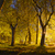 Image-square_50