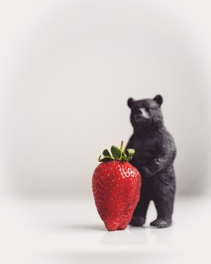 Image-preview_300x200