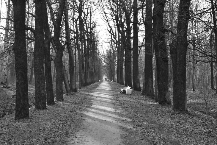 Image-normal