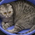 Image-square_50