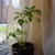 Image-square_50