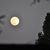 Image-square_50