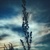 Image-square_50